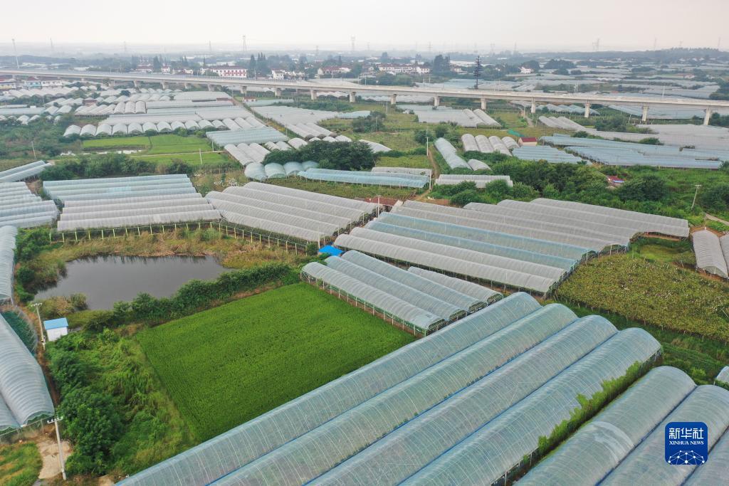 新濠天地登录网站